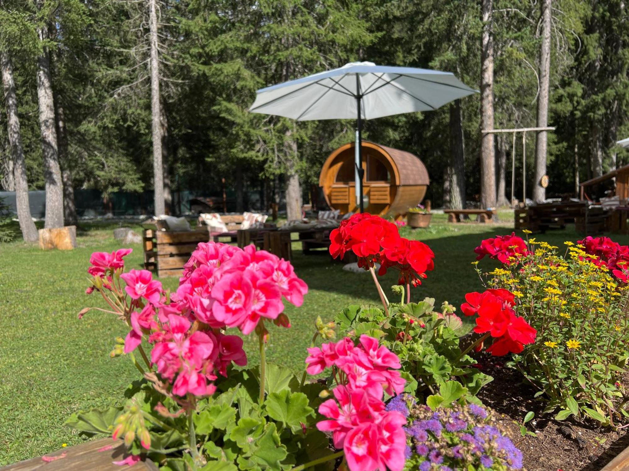 Wildhomes Wild Wolf Lodge Κουρμαγιέρ Εξωτερικό φωτογραφία